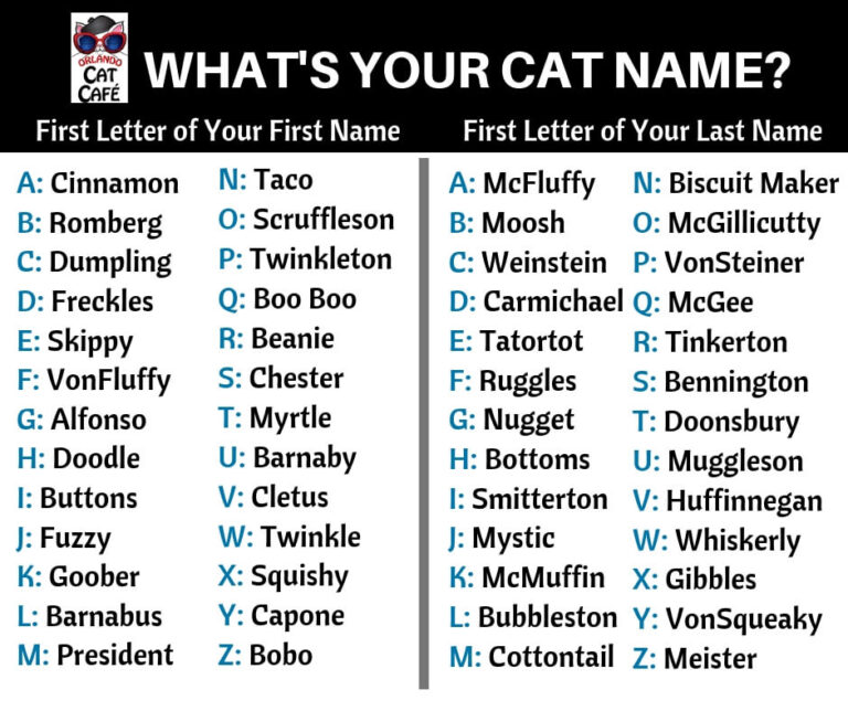 Tell me your cats names and nicknames : r/cats