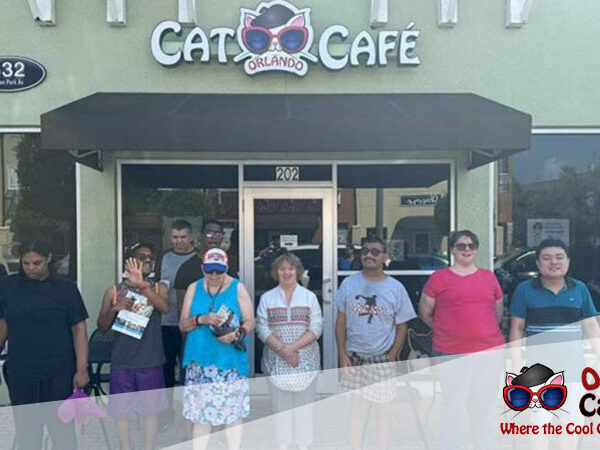 Building-Blocks-Ministries-Visited-Orlando-Cat-Café-And-A-Heartwarming-Connection-Between-Furry-Felines-and-Friends-Developed